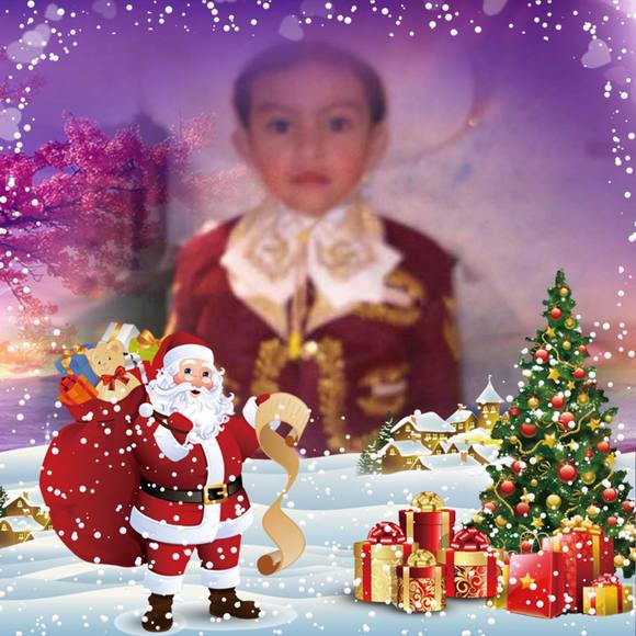 Meet your Posher, Leo - Picture 1 of 1